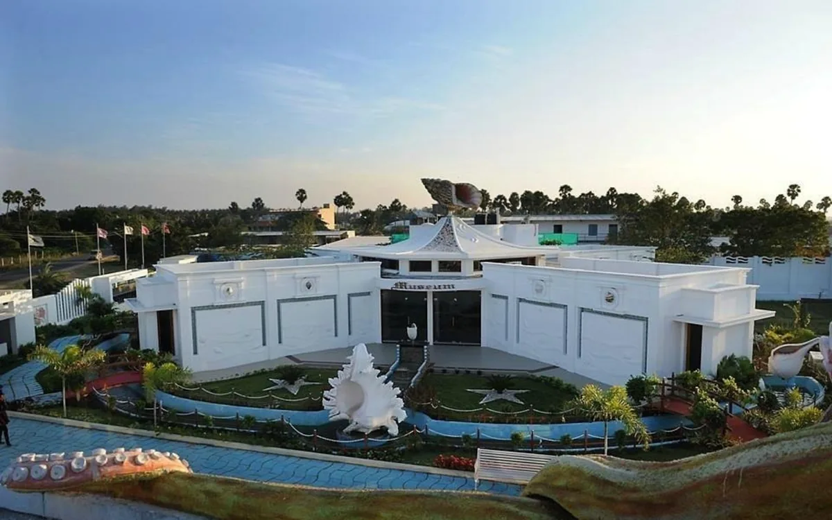 Exhibits at the India Seashell Museum, Mahabalipuram