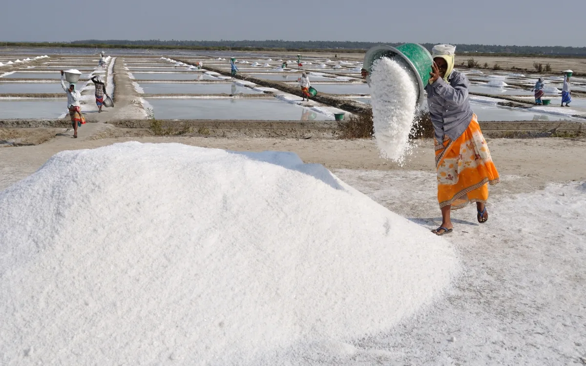 Marakkanam salt pans reflecting the sky at sunset